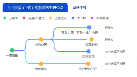 上海臨港自貿(mào)區(qū)營業(yè)執(zhí)照網(wǎng)上申請流程