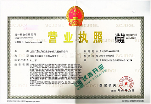 上海有限公司注冊(cè)如何辦理?