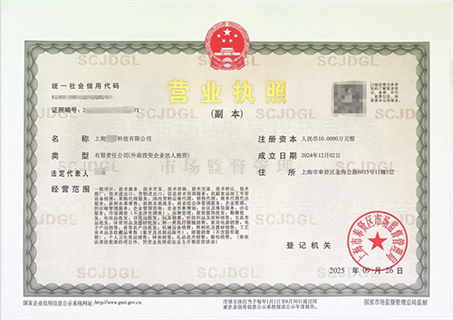 上海注冊(cè)公司核心材料清單與要點(diǎn)解析